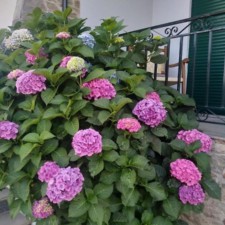 페소다레과 Mito'S House & Douro View B&B 외부 사진