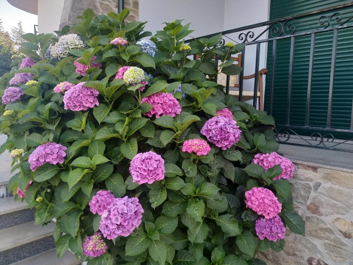 페소다레과 Mito'S House & Douro View B&B 외부 사진